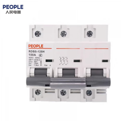 人民电器（PEOPLE） 断路器 RDB5-125H/3PD100A 个