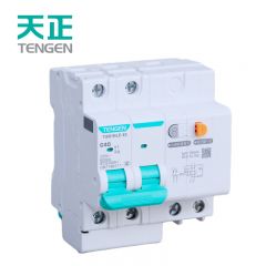 天正电气（TENGEN）TGB1NLE断路器63壳架空气开关带漏保C型 220V 2P C40 30mA C 现货