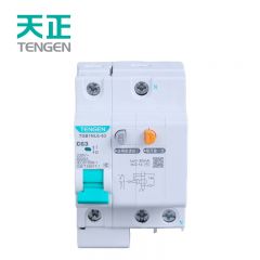 天正电气（TENGEN）TGB1NLE断路器63壳架空气开关带漏保C型 220V 1P+N C50 30mA C 现货