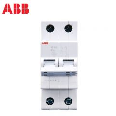 ABB 微型断路器 SE202-C16（个）