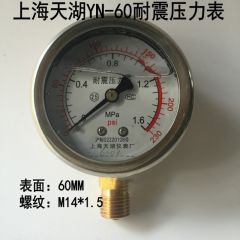 上海天湖 耐震压力表 YN-60 0-40MPA M14*1.5(个)