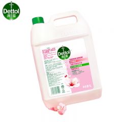 滴露（Dettol） 抑菌洗手液滋润倍护5L 大桶家庭装补充装 抑菌99.99% 水润保湿