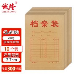 诚隆 CL-9100 A4进口纸档案袋200g （10个/包）